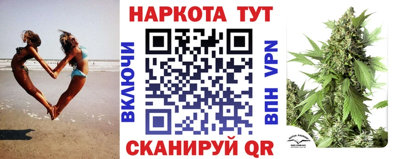 Где можно купить наркотики Шарья MEGA маркетплейс  Галлюциногенные грибы  Alpha-PVP  АМФ 