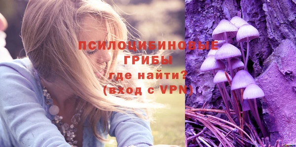 тгк Белая Холуница