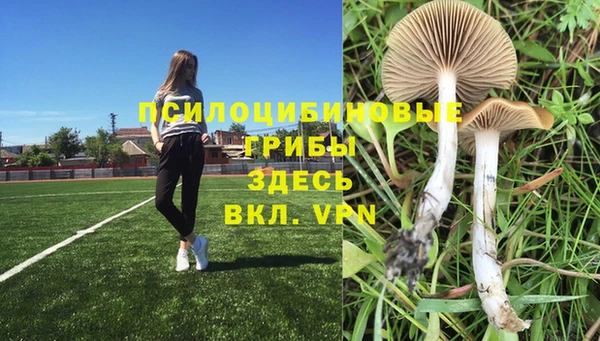 мяу мяу кристалл Михайловка